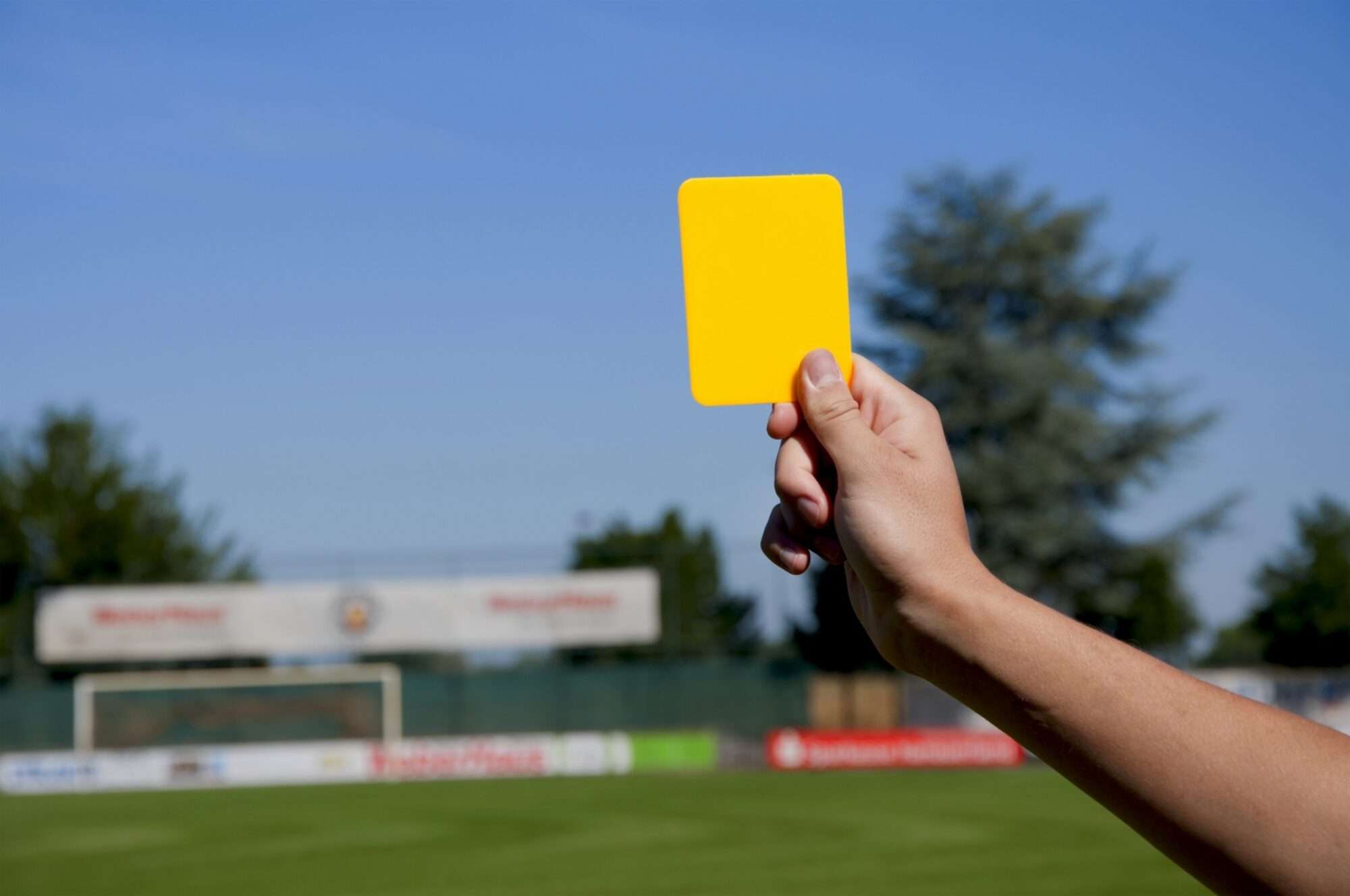 Image du produit : Paire de cartons pour remplacement kit arbitre