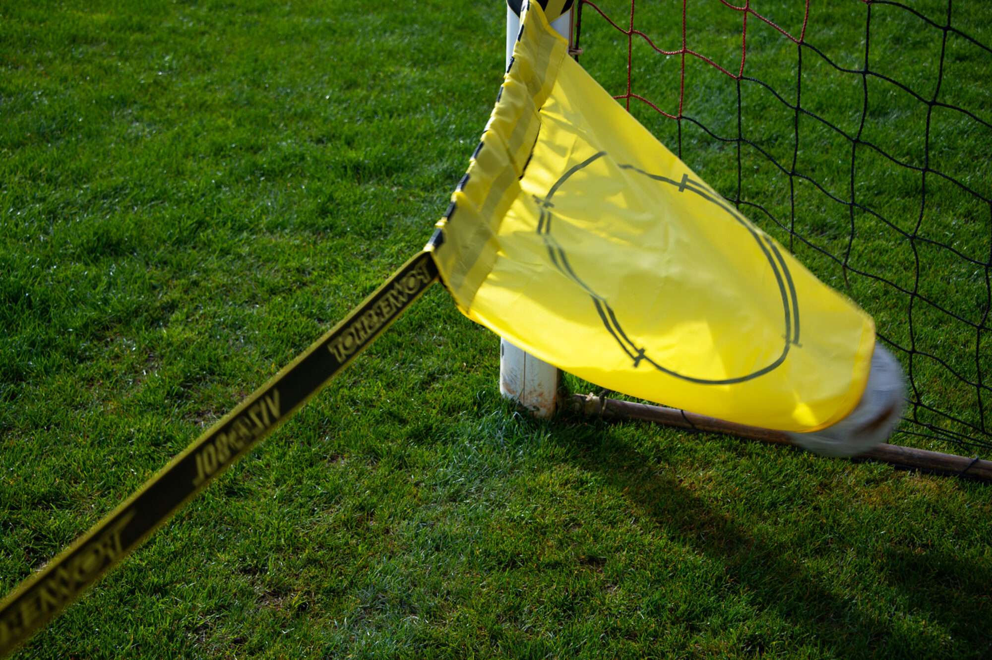 Image du produit : VIZOSOL - 76% van de doelpunten gescoord!