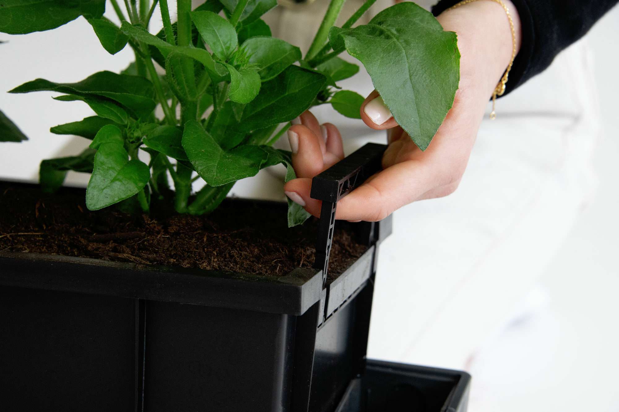 Image du produit : SUPREME zelfbewaterende bloempot - 75cm