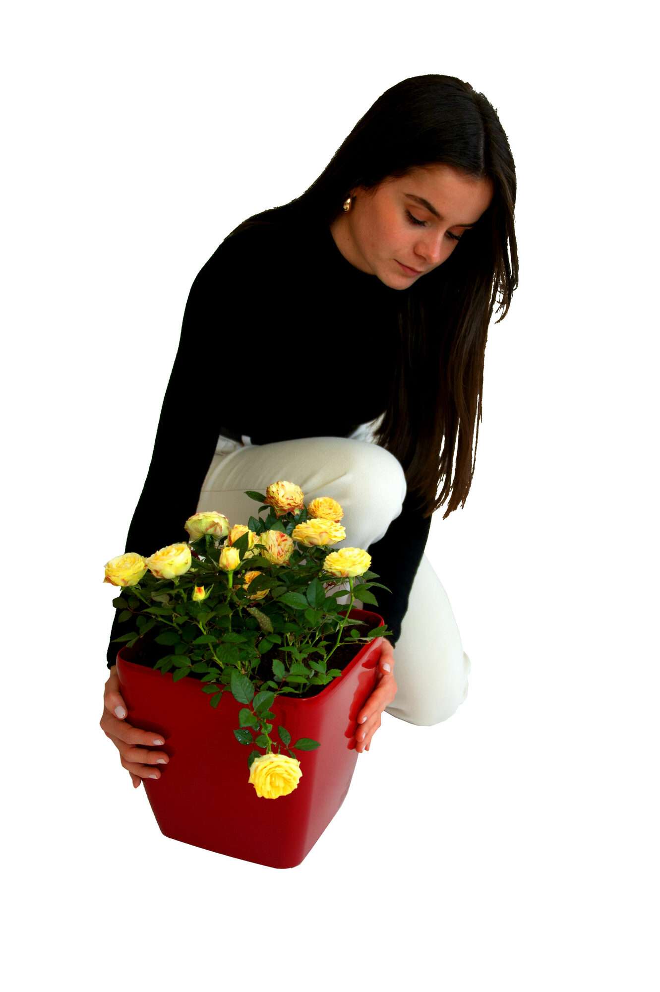 Image du produit : QUADRATO zelfbewaterende bloempot - 24cm x 24cm x 25cm