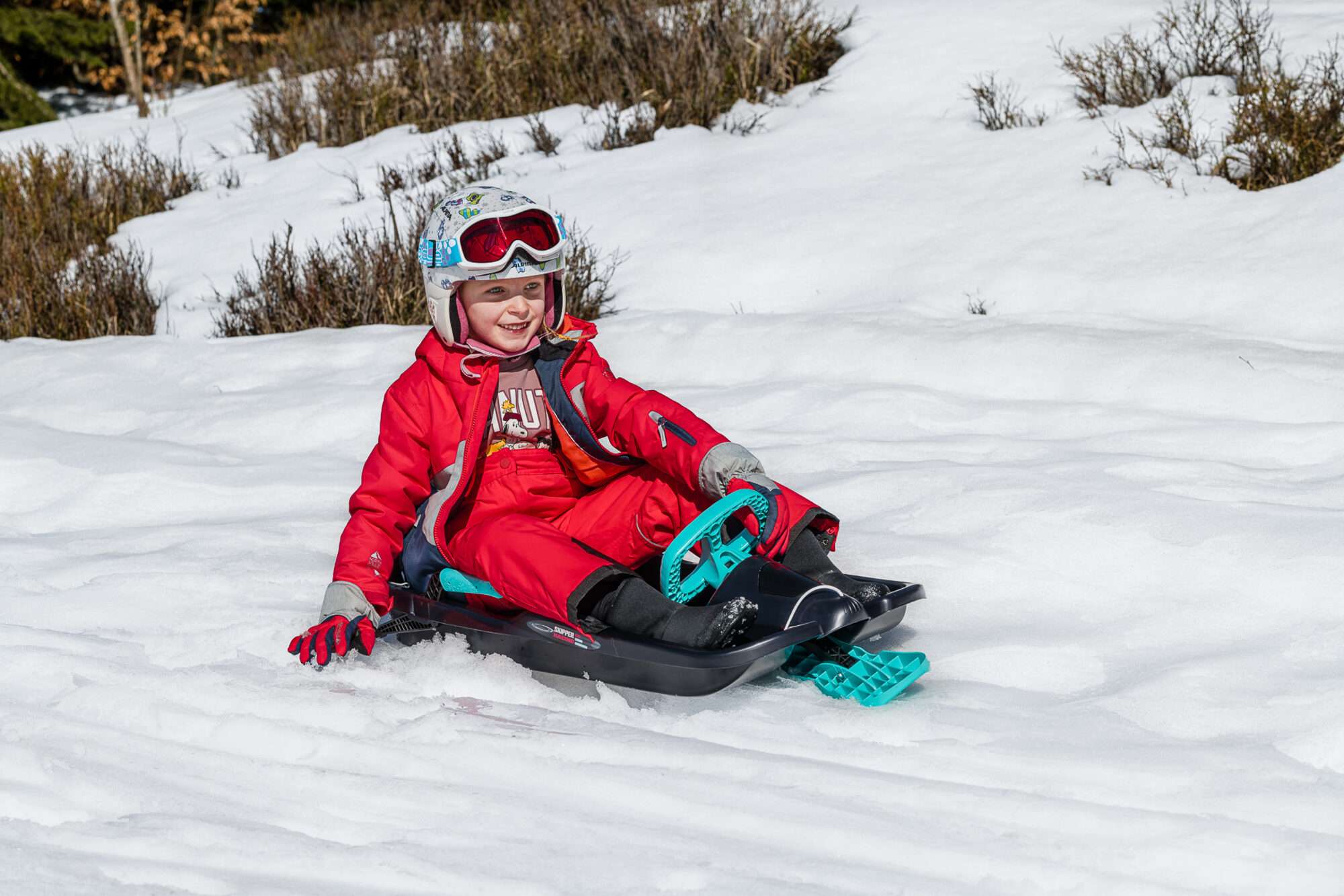 Image du produit : DESIGN slee met stuur - Snow Express GSL-400