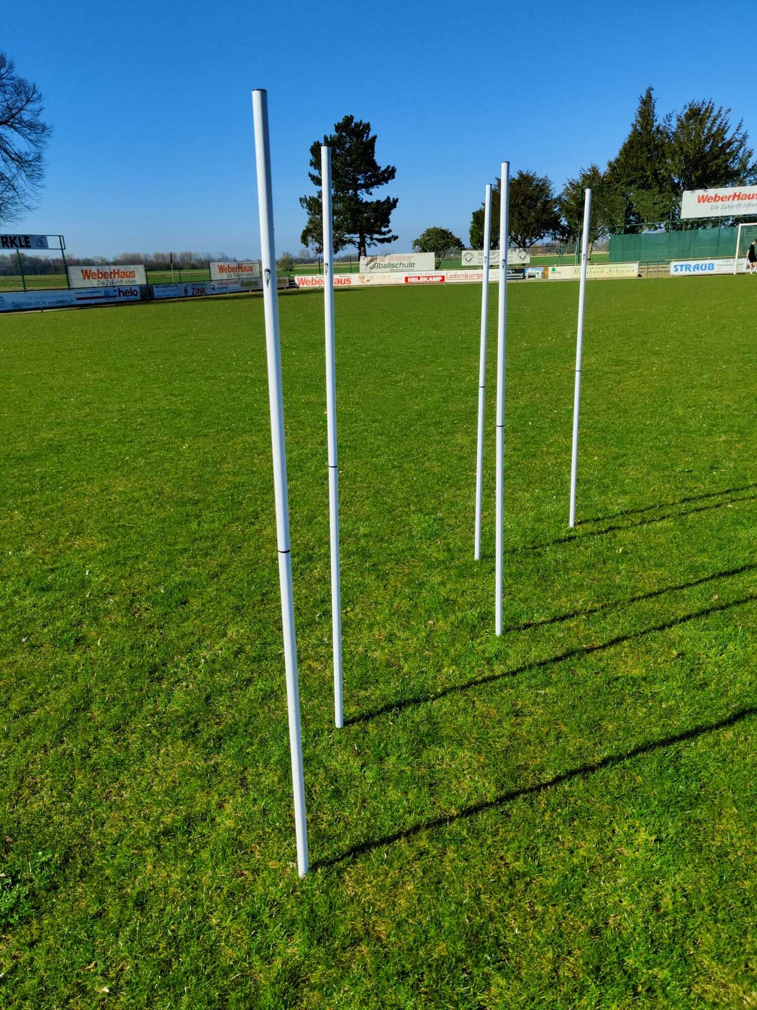 Image du produit : Lot de 5 piquets de slalom Blancs