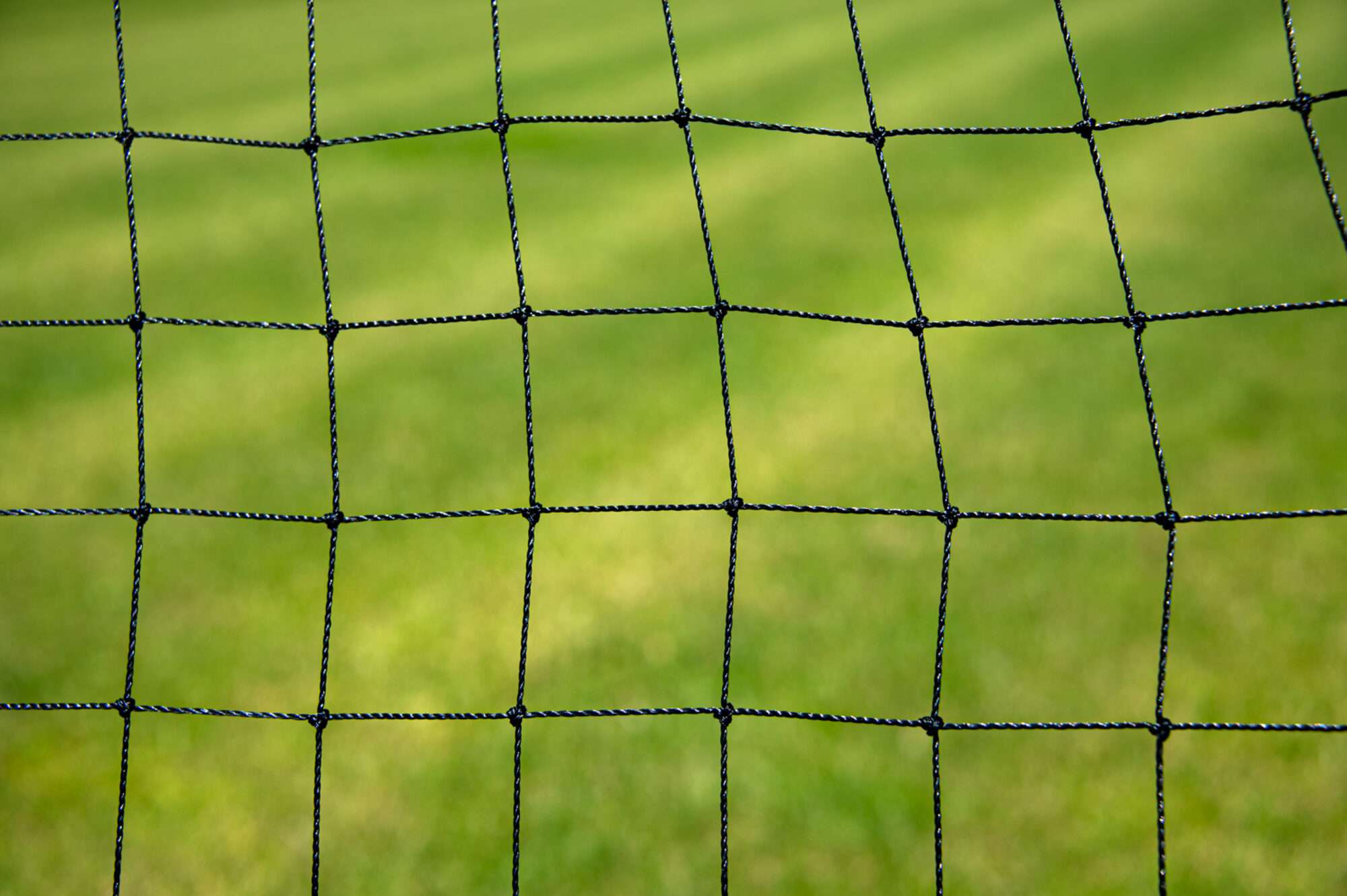 Image du produit : Rebounder set - met opblaasbare bal