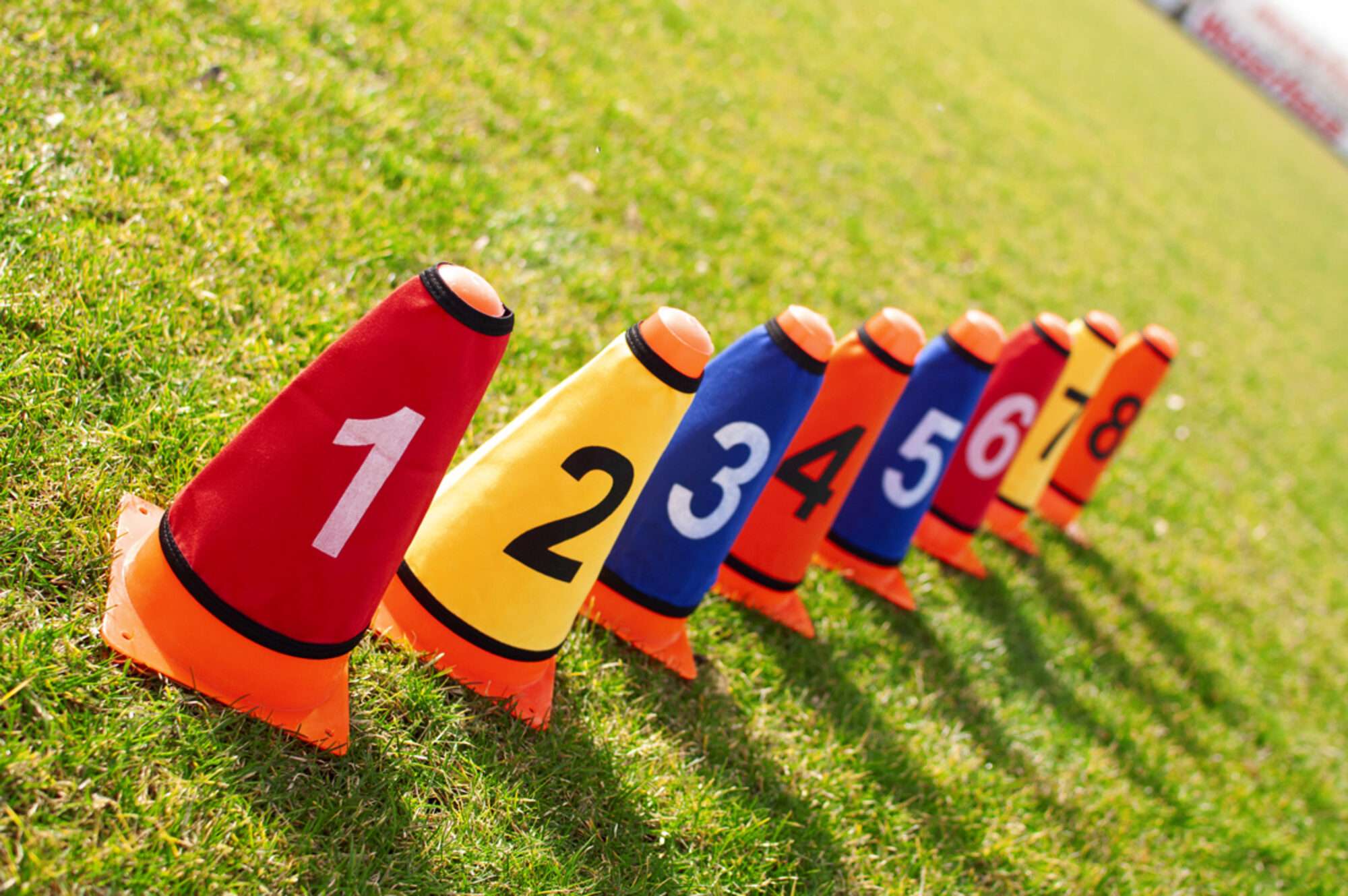 Image du produit : Set of 8 cone sleeves