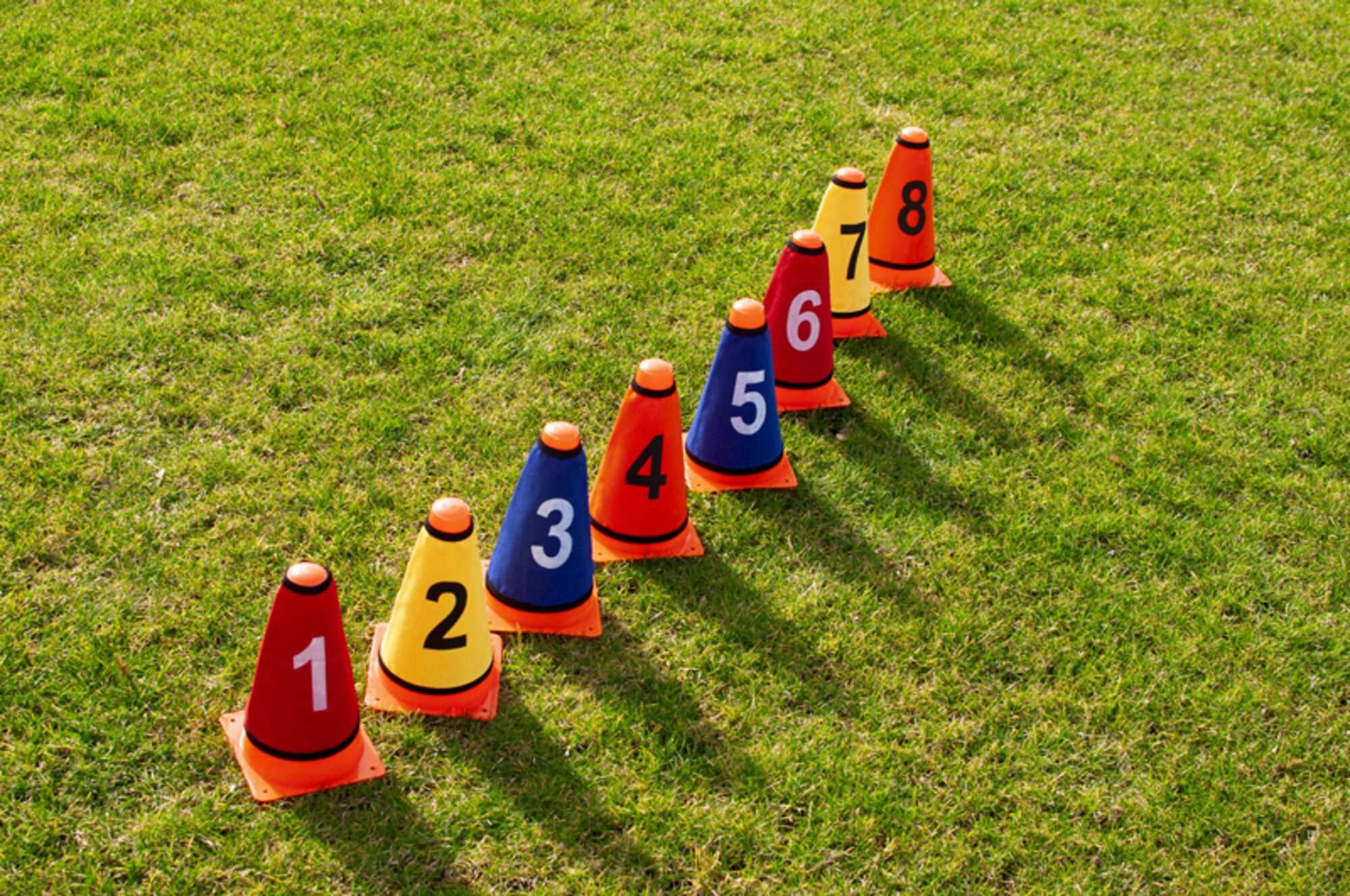 Image du produit : Set of 8 cone sleeves