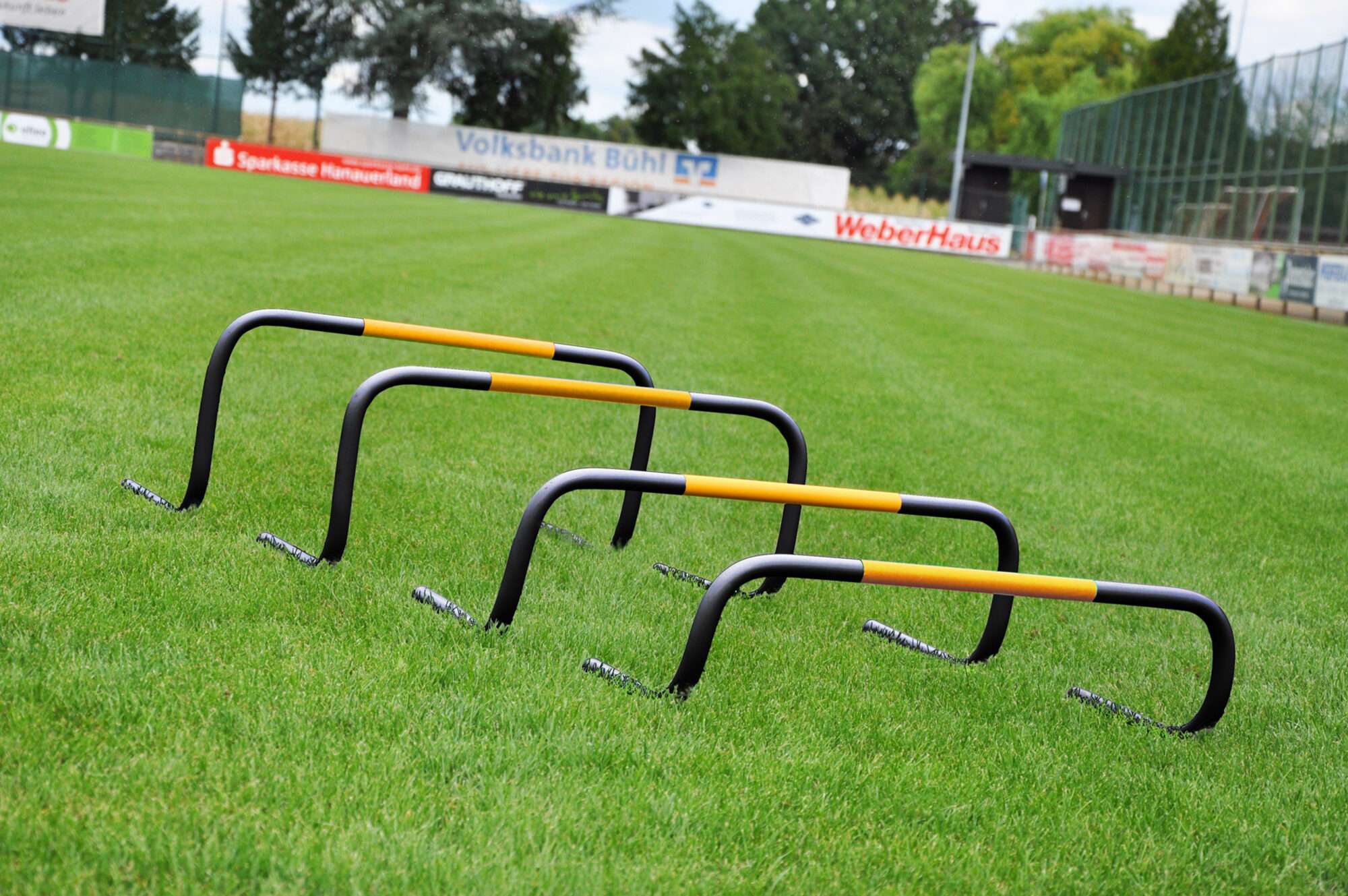 Image du produit : Kit de 6 haies 'Self Return' Taille au choix